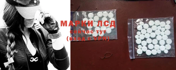 прущие грибы Балахна