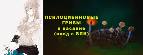 прущие грибы Балахна