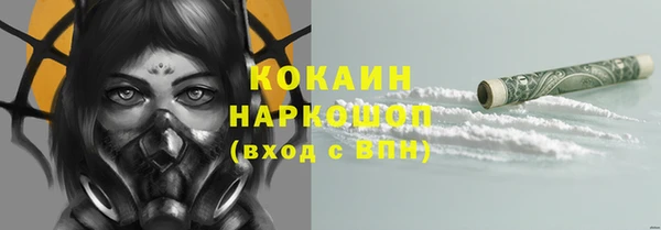 прущие грибы Балахна