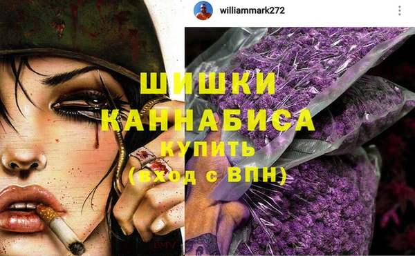 прущие грибы Балахна