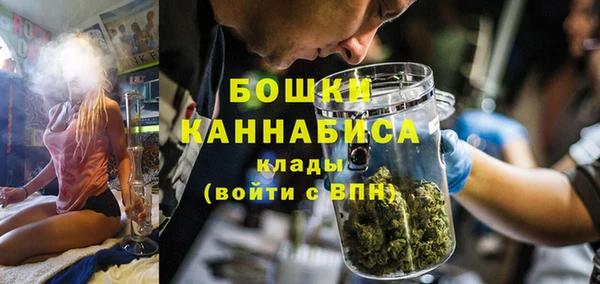 прущие грибы Балахна