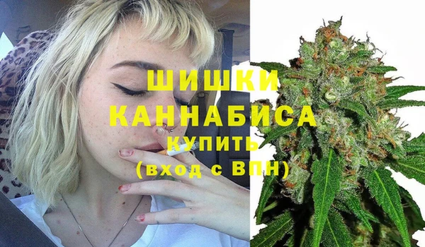 прущие грибы Балахна