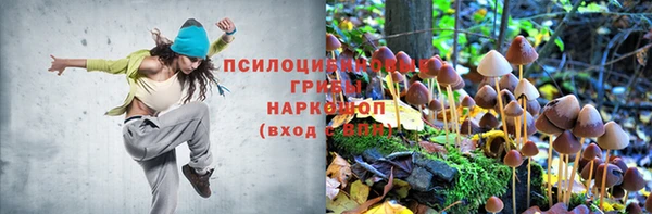 мескалин Баксан