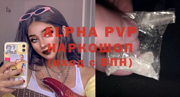 прущие грибы Балахна
